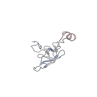 21621_6wd2_Q_v1-2
Cryo-EM of elongating ribosome with EF-Tu*GTP elucidates tRNA proofreading (Cognate Structure II-A)