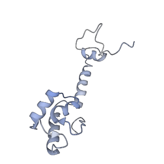 21621_6wd2_R_v1-2
Cryo-EM of elongating ribosome with EF-Tu*GTP elucidates tRNA proofreading (Cognate Structure II-A)