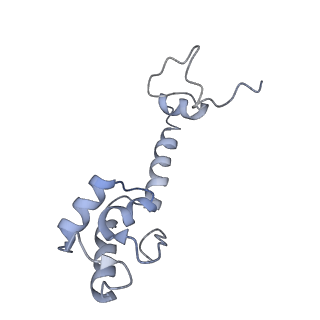 21621_6wd2_R_v1-3
Cryo-EM of elongating ribosome with EF-Tu*GTP elucidates tRNA proofreading (Cognate Structure II-A)