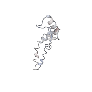 21621_6wd2_S_v1-2
Cryo-EM of elongating ribosome with EF-Tu*GTP elucidates tRNA proofreading (Cognate Structure II-A)