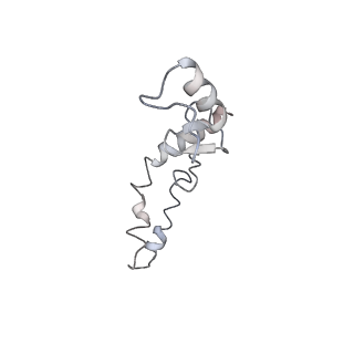 21621_6wd2_S_v1-3
Cryo-EM of elongating ribosome with EF-Tu*GTP elucidates tRNA proofreading (Cognate Structure II-A)