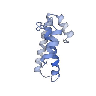 21621_6wd2_T_v1-3
Cryo-EM of elongating ribosome with EF-Tu*GTP elucidates tRNA proofreading (Cognate Structure II-A)