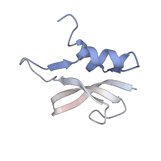 21621_6wd2_U_v1-2
Cryo-EM of elongating ribosome with EF-Tu*GTP elucidates tRNA proofreading (Cognate Structure II-A)
