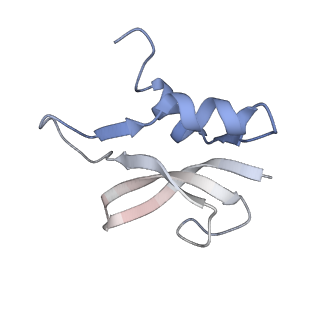 21621_6wd2_U_v1-3
Cryo-EM of elongating ribosome with EF-Tu*GTP elucidates tRNA proofreading (Cognate Structure II-A)