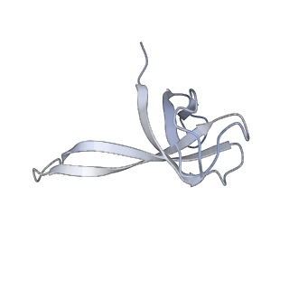 21621_6wd2_V_v1-2
Cryo-EM of elongating ribosome with EF-Tu*GTP elucidates tRNA proofreading (Cognate Structure II-A)