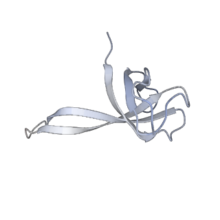 21621_6wd2_V_v1-3
Cryo-EM of elongating ribosome with EF-Tu*GTP elucidates tRNA proofreading (Cognate Structure II-A)