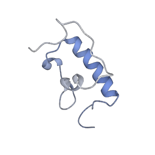 21621_6wd2_W_v1-3
Cryo-EM of elongating ribosome with EF-Tu*GTP elucidates tRNA proofreading (Cognate Structure II-A)