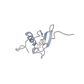 21621_6wd2_X_v1-3
Cryo-EM of elongating ribosome with EF-Tu*GTP elucidates tRNA proofreading (Cognate Structure II-A)