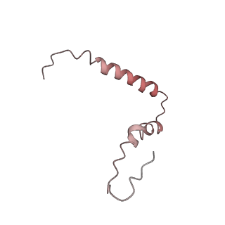 21621_6wd2_Z_v1-3
Cryo-EM of elongating ribosome with EF-Tu*GTP elucidates tRNA proofreading (Cognate Structure II-A)