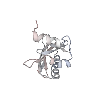 21621_6wd2_a_v1-2
Cryo-EM of elongating ribosome with EF-Tu*GTP elucidates tRNA proofreading (Cognate Structure II-A)