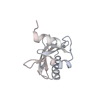 21621_6wd2_a_v1-3
Cryo-EM of elongating ribosome with EF-Tu*GTP elucidates tRNA proofreading (Cognate Structure II-A)