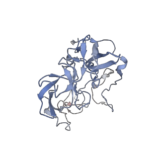 21621_6wd2_b_v1-2
Cryo-EM of elongating ribosome with EF-Tu*GTP elucidates tRNA proofreading (Cognate Structure II-A)