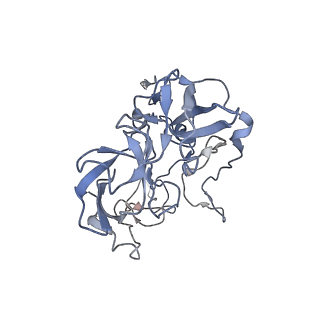 21621_6wd2_b_v1-3
Cryo-EM of elongating ribosome with EF-Tu*GTP elucidates tRNA proofreading (Cognate Structure II-A)