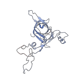 21621_6wd2_c_v1-3
Cryo-EM of elongating ribosome with EF-Tu*GTP elucidates tRNA proofreading (Cognate Structure II-A)