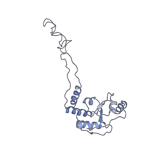 21621_6wd2_d_v1-2
Cryo-EM of elongating ribosome with EF-Tu*GTP elucidates tRNA proofreading (Cognate Structure II-A)