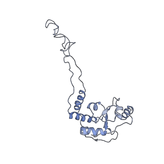 21621_6wd2_d_v1-3
Cryo-EM of elongating ribosome with EF-Tu*GTP elucidates tRNA proofreading (Cognate Structure II-A)