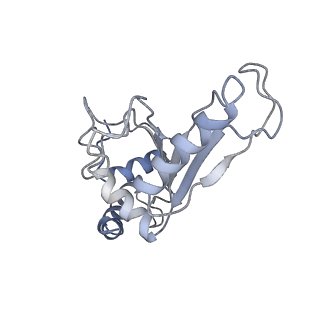 21621_6wd2_e_v1-2
Cryo-EM of elongating ribosome with EF-Tu*GTP elucidates tRNA proofreading (Cognate Structure II-A)