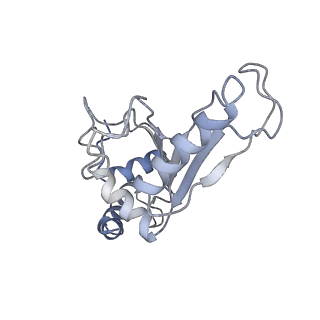 21621_6wd2_e_v1-3
Cryo-EM of elongating ribosome with EF-Tu*GTP elucidates tRNA proofreading (Cognate Structure II-A)