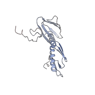 21621_6wd2_f_v1-3
Cryo-EM of elongating ribosome with EF-Tu*GTP elucidates tRNA proofreading (Cognate Structure II-A)