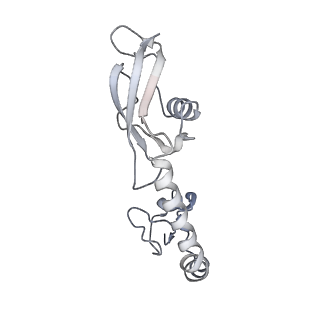 21621_6wd2_g_v1-3
Cryo-EM of elongating ribosome with EF-Tu*GTP elucidates tRNA proofreading (Cognate Structure II-A)