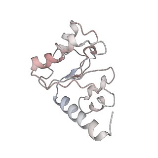 21621_6wd2_h_v1-2
Cryo-EM of elongating ribosome with EF-Tu*GTP elucidates tRNA proofreading (Cognate Structure II-A)