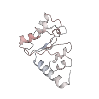 21621_6wd2_h_v1-3
Cryo-EM of elongating ribosome with EF-Tu*GTP elucidates tRNA proofreading (Cognate Structure II-A)