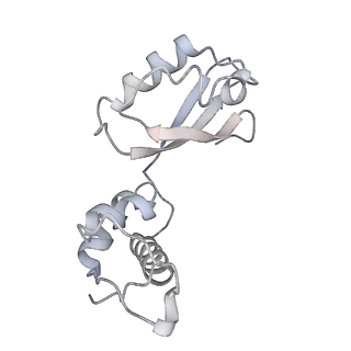 21621_6wd2_i_v1-2
Cryo-EM of elongating ribosome with EF-Tu*GTP elucidates tRNA proofreading (Cognate Structure II-A)