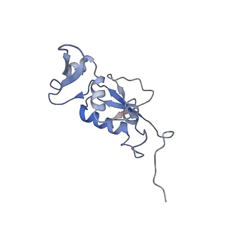 21621_6wd2_j_v1-2
Cryo-EM of elongating ribosome with EF-Tu*GTP elucidates tRNA proofreading (Cognate Structure II-A)