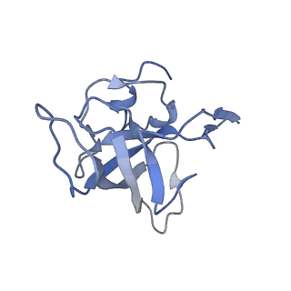 21621_6wd2_k_v1-2
Cryo-EM of elongating ribosome with EF-Tu*GTP elucidates tRNA proofreading (Cognate Structure II-A)