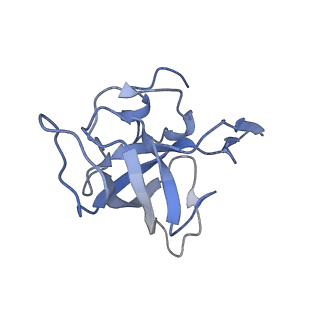 21621_6wd2_k_v1-3
Cryo-EM of elongating ribosome with EF-Tu*GTP elucidates tRNA proofreading (Cognate Structure II-A)