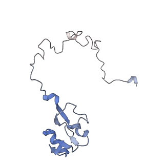 21621_6wd2_l_v1-2
Cryo-EM of elongating ribosome with EF-Tu*GTP elucidates tRNA proofreading (Cognate Structure II-A)
