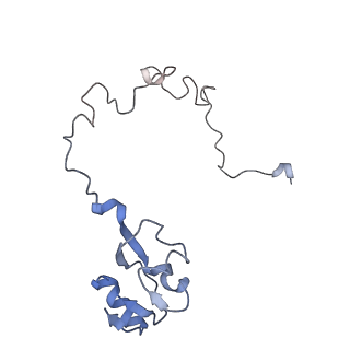 21621_6wd2_l_v1-3
Cryo-EM of elongating ribosome with EF-Tu*GTP elucidates tRNA proofreading (Cognate Structure II-A)