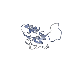 21621_6wd2_m_v1-2
Cryo-EM of elongating ribosome with EF-Tu*GTP elucidates tRNA proofreading (Cognate Structure II-A)