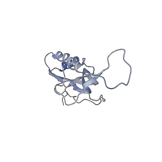 21621_6wd2_m_v1-3
Cryo-EM of elongating ribosome with EF-Tu*GTP elucidates tRNA proofreading (Cognate Structure II-A)