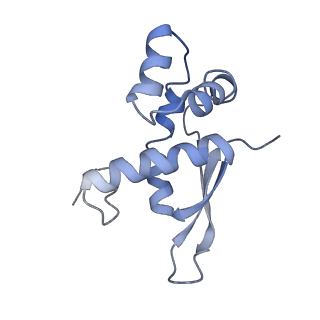 21621_6wd2_n_v1-2
Cryo-EM of elongating ribosome with EF-Tu*GTP elucidates tRNA proofreading (Cognate Structure II-A)