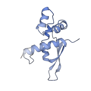 21621_6wd2_n_v1-3
Cryo-EM of elongating ribosome with EF-Tu*GTP elucidates tRNA proofreading (Cognate Structure II-A)