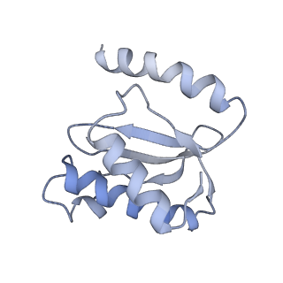 21621_6wd2_o_v1-2
Cryo-EM of elongating ribosome with EF-Tu*GTP elucidates tRNA proofreading (Cognate Structure II-A)
