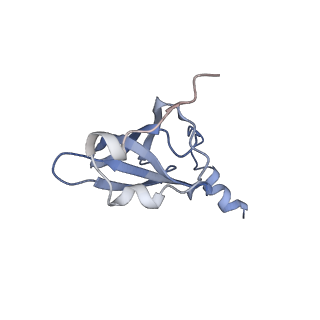 21621_6wd2_p_v1-2
Cryo-EM of elongating ribosome with EF-Tu*GTP elucidates tRNA proofreading (Cognate Structure II-A)