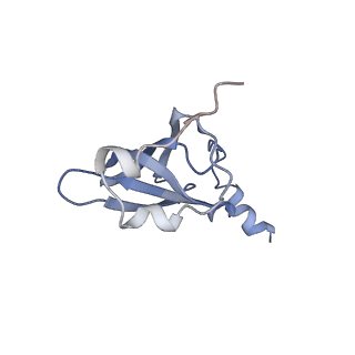 21621_6wd2_p_v1-3
Cryo-EM of elongating ribosome with EF-Tu*GTP elucidates tRNA proofreading (Cognate Structure II-A)