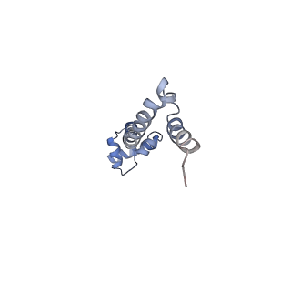 21621_6wd2_q_v1-3
Cryo-EM of elongating ribosome with EF-Tu*GTP elucidates tRNA proofreading (Cognate Structure II-A)