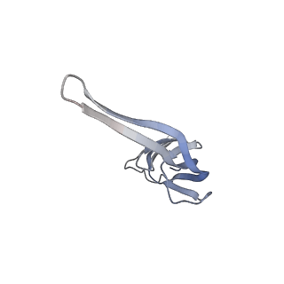 21621_6wd2_r_v1-3
Cryo-EM of elongating ribosome with EF-Tu*GTP elucidates tRNA proofreading (Cognate Structure II-A)