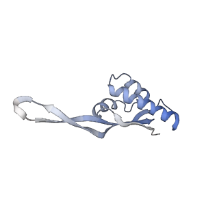 21621_6wd2_s_v1-2
Cryo-EM of elongating ribosome with EF-Tu*GTP elucidates tRNA proofreading (Cognate Structure II-A)