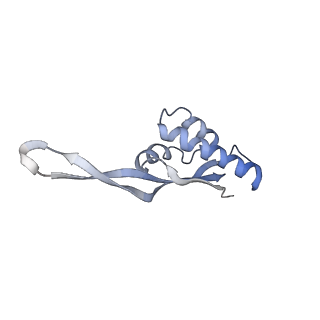 21621_6wd2_s_v1-3
Cryo-EM of elongating ribosome with EF-Tu*GTP elucidates tRNA proofreading (Cognate Structure II-A)