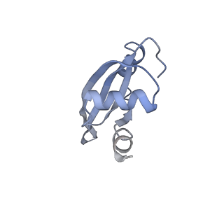 21621_6wd2_t_v1-3
Cryo-EM of elongating ribosome with EF-Tu*GTP elucidates tRNA proofreading (Cognate Structure II-A)