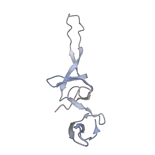 21621_6wd2_u_v1-2
Cryo-EM of elongating ribosome with EF-Tu*GTP elucidates tRNA proofreading (Cognate Structure II-A)