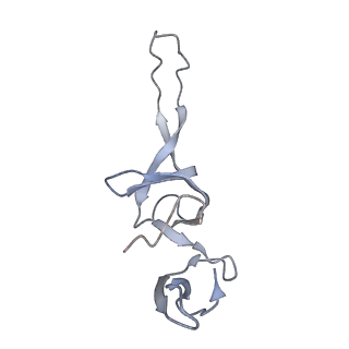 21621_6wd2_u_v1-3
Cryo-EM of elongating ribosome with EF-Tu*GTP elucidates tRNA proofreading (Cognate Structure II-A)