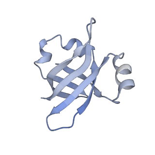 21621_6wd2_v_v1-2
Cryo-EM of elongating ribosome with EF-Tu*GTP elucidates tRNA proofreading (Cognate Structure II-A)