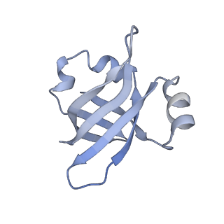 21621_6wd2_v_v1-3
Cryo-EM of elongating ribosome with EF-Tu*GTP elucidates tRNA proofreading (Cognate Structure II-A)