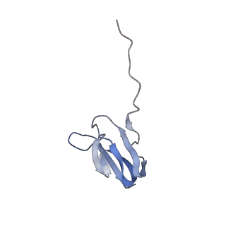 21621_6wd2_w_v1-2
Cryo-EM of elongating ribosome with EF-Tu*GTP elucidates tRNA proofreading (Cognate Structure II-A)