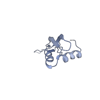 21621_6wd2_x_v1-2
Cryo-EM of elongating ribosome with EF-Tu*GTP elucidates tRNA proofreading (Cognate Structure II-A)